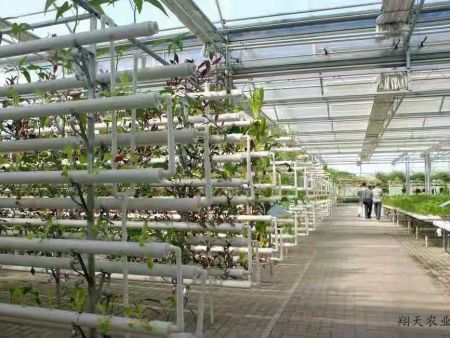 米兰最新网站：离石区助残帮扶项目助力村庄复兴